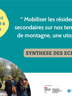Synth&egrave;se du WebCaf&eacute; Habitabilit&eacute; & Logement "Mobiliser les r&eacute;sidences secondaires en montagne : une utopie?" 