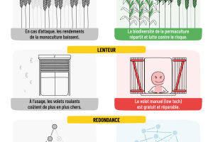 Vers des Alpes robustes : Penser l'habitabilité des territoires de montagne à la lumière du vivant