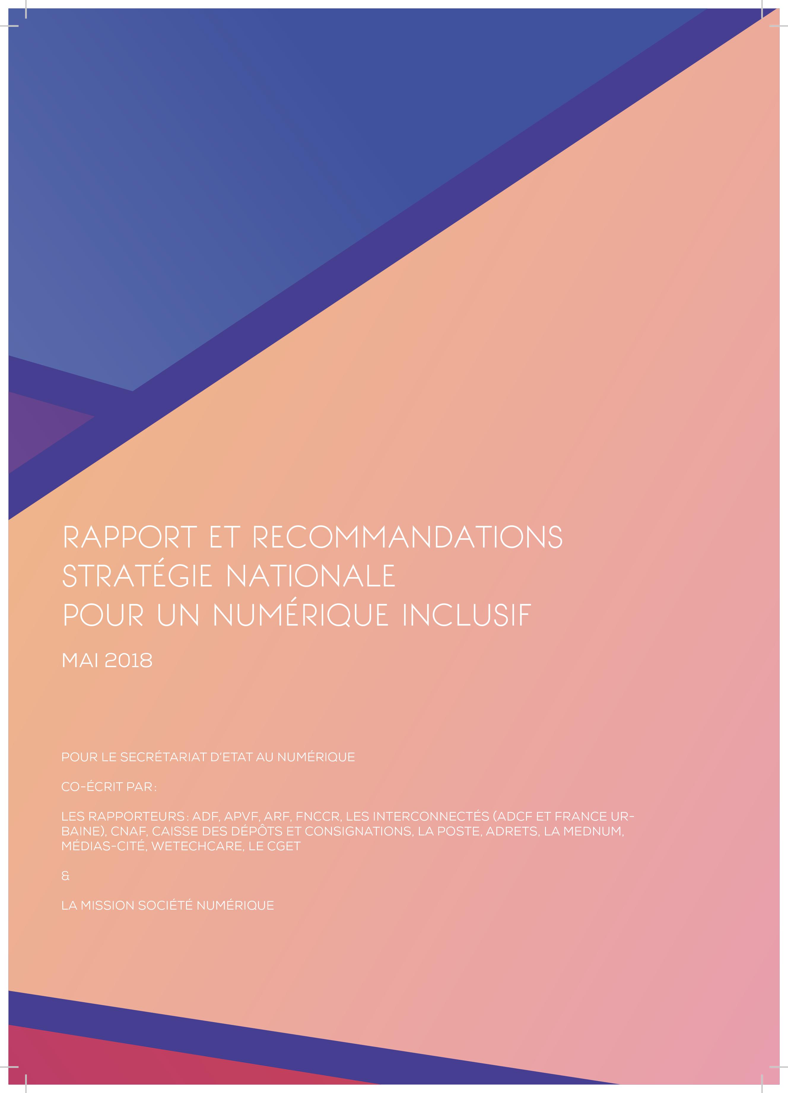 Rapport et Recommandations - Stratégie nationale pour un numérique inclusif